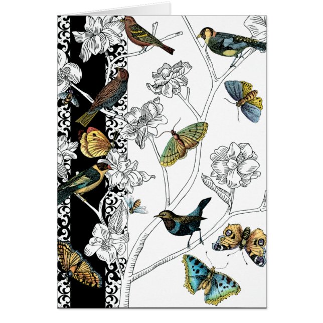 Birds and Butterfly on a Black & White Background (Front)
