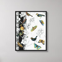 Birds and Butterfly on a Black & White Background