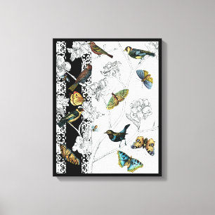 Birds and Butterfly on a Black & White Background Canvas Print