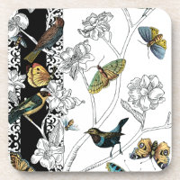 Birds and Butterfly on a Black & White Background