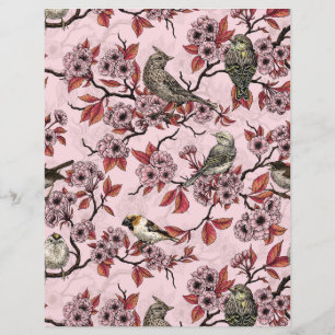 Birds and cherry blossom on rose pink