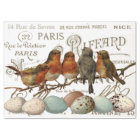 Birds and Eggs Vintage French City Names Decoupage