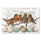 Birds and Eggs Vintage French City Names Decoupage
