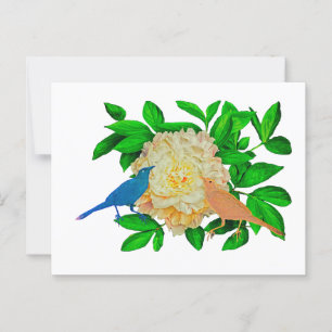 Birds and Flower Poster Postcard