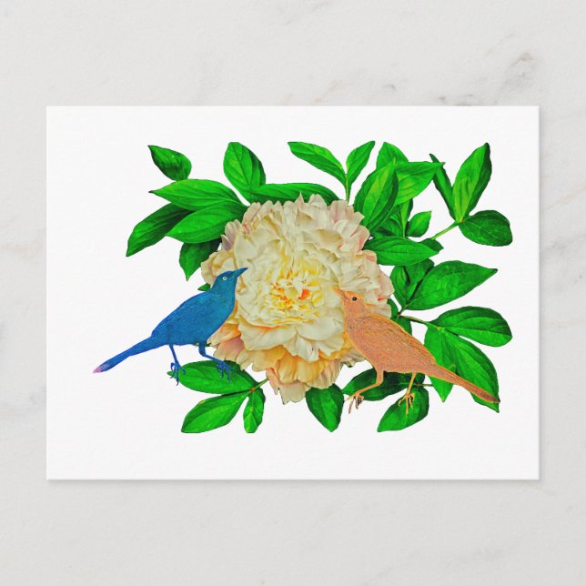 Birds and Flower Poster Postcard (Front)
