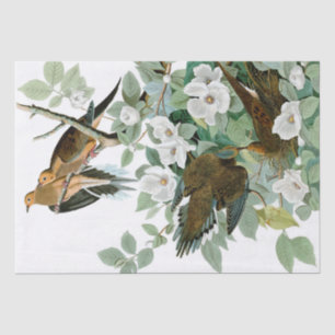 Birds and Flowers Natural 15" x 20" Tissue Paper