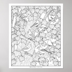 Birds and Maple Tree Adult Coloring Page 30"x25" Poster