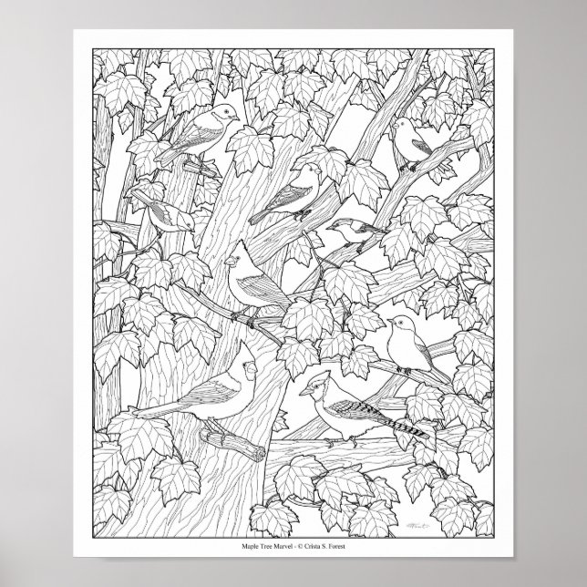 Birds and Maple Tree Adult Colouring Page 12"x10" Poster (Front)