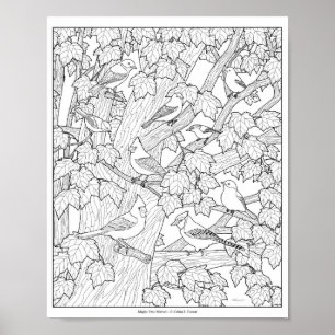 Birds and Maple Tree Adult Colouring Page 12"x10" Poster