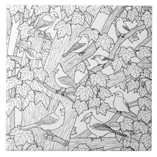 Birds and Maple Tree Adult Colouring Page Tile (Front)