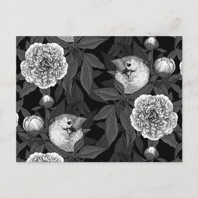 Birds and peony flowers monochrome, grey postcard (Front)