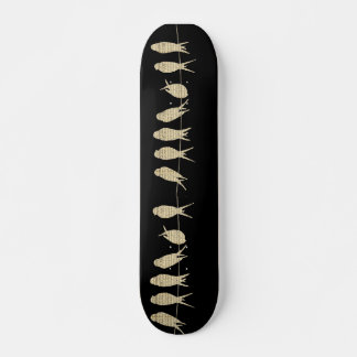 Birds Animal Nature Music Notes Destiny Skateboard