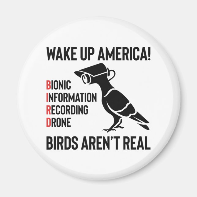 Birds Are Not Real - If It Flies, It Spies Magnet (Front)