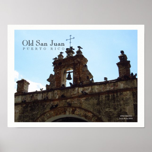 Birds at Old San Juan Puerto Rico Poster (Front)