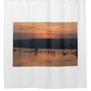 Birds at sunrise