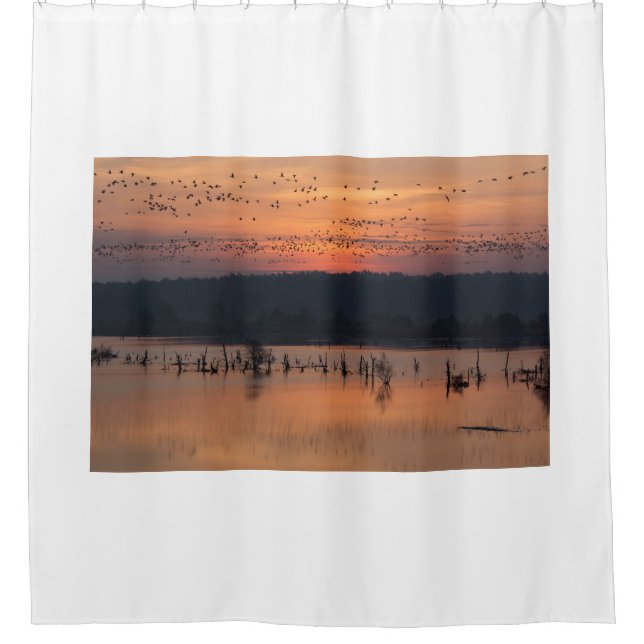 Birds at sunrise (Front)
