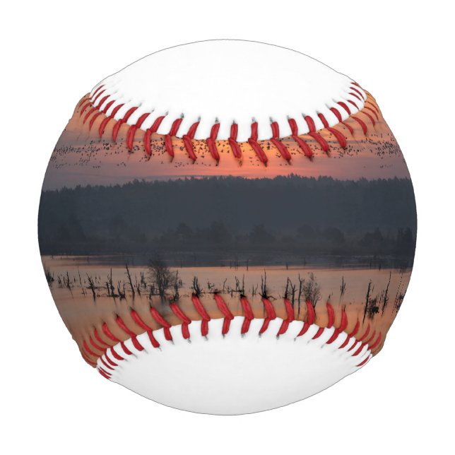Birds at sunrise baseball (Front)