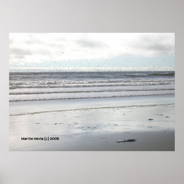 Birds at Watsonville Beach Poster (Front)
