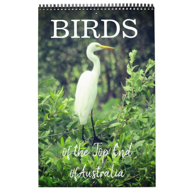 birds australia top end 2027 calendar (Cover)