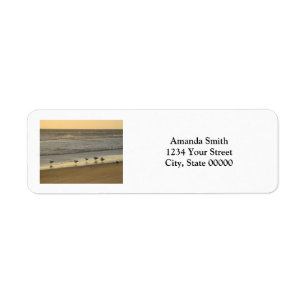 Birds Beach Sunrise Personnaliser Adresse de retou