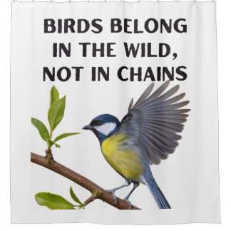 Birds Belong in the Wild, Not in Chains – Wildlife