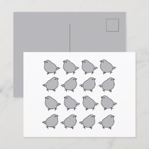 Birds Bird Postcard