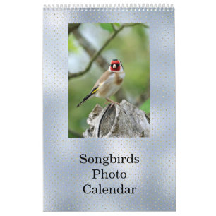 Birds Blue Photo Customizable Calendar