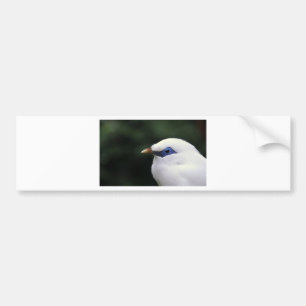 Birds Bumper Sticker