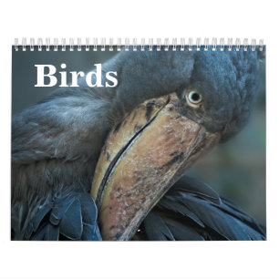 Birds Calendar