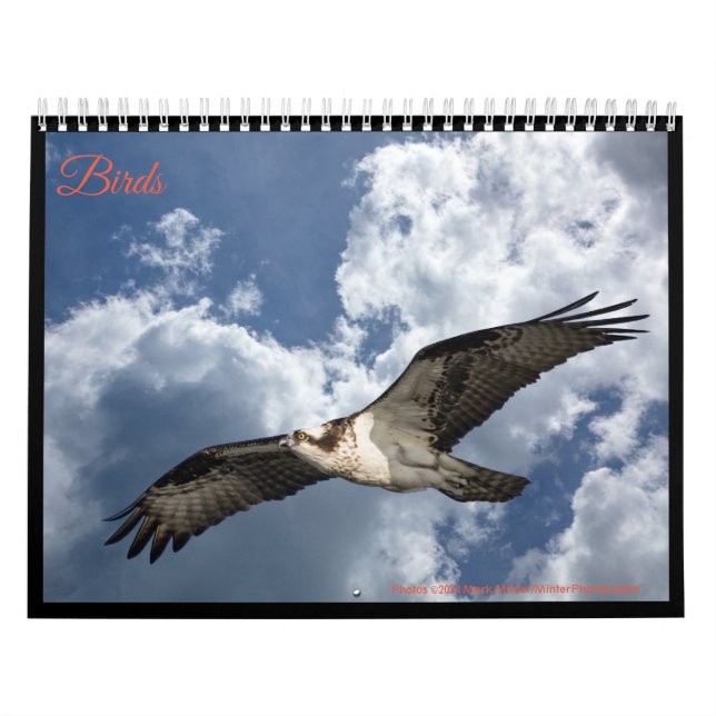  Birds Calendar (Cover)