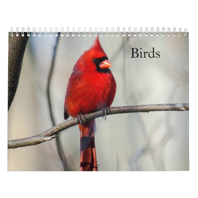 Birds Calendar (Cover)