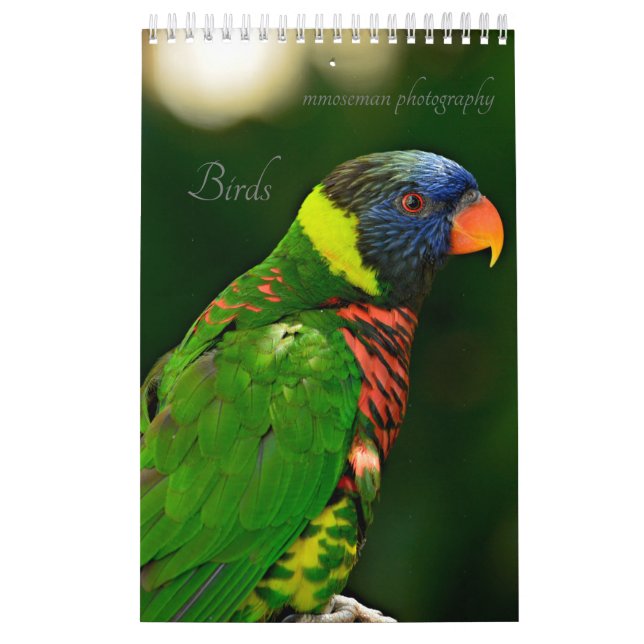 Birds Calendar (Cover)