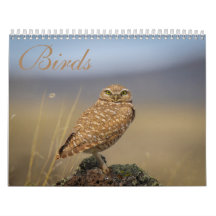 birds Calendar