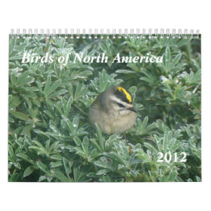 Birds Calendar 2012