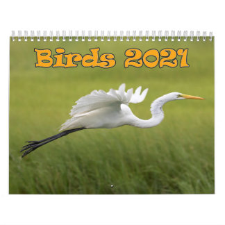 Birds Calendar 2021