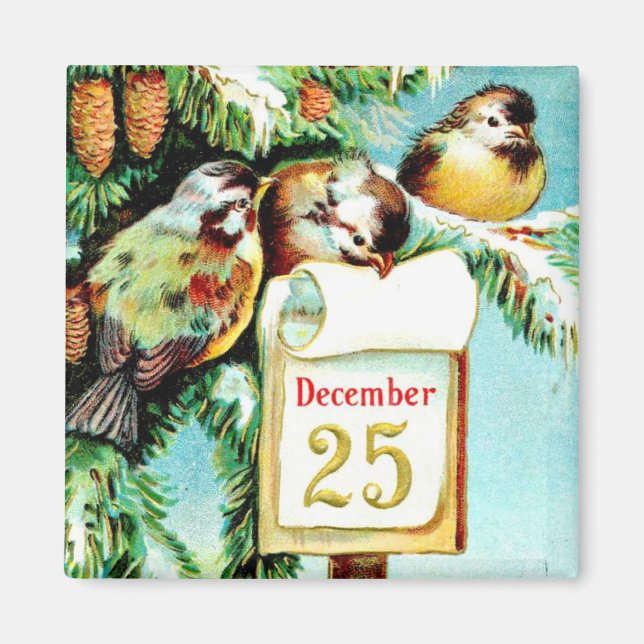 Birds Celebrate Christmas Magnet (Front)