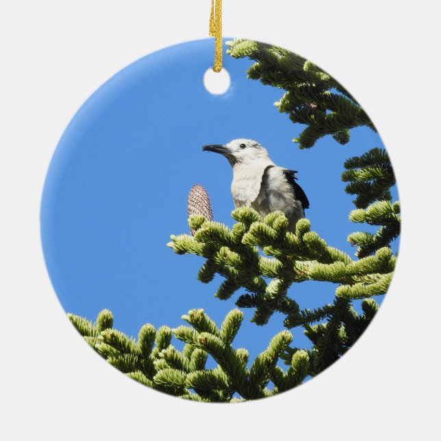 Birds, Clark's Nutcracker, wildlife, ornament (Back)