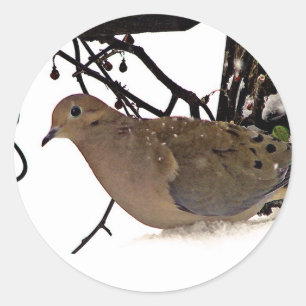 Birds Classic Round Sticker