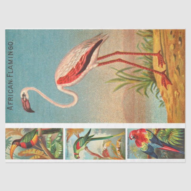 Birds Collection Flamingo 2c Vintage Decoupage  Tissue Paper (Front)