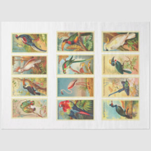 Birds Collection Vintage Decoupage Tissue Paper