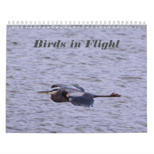 Birds dans le calendrier de vol