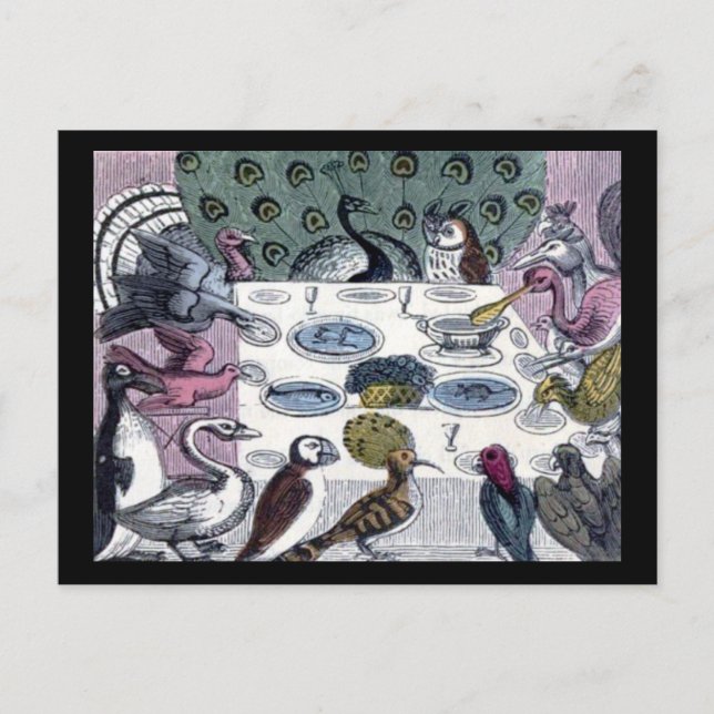 Birds Dinner Party Postcard (Front)