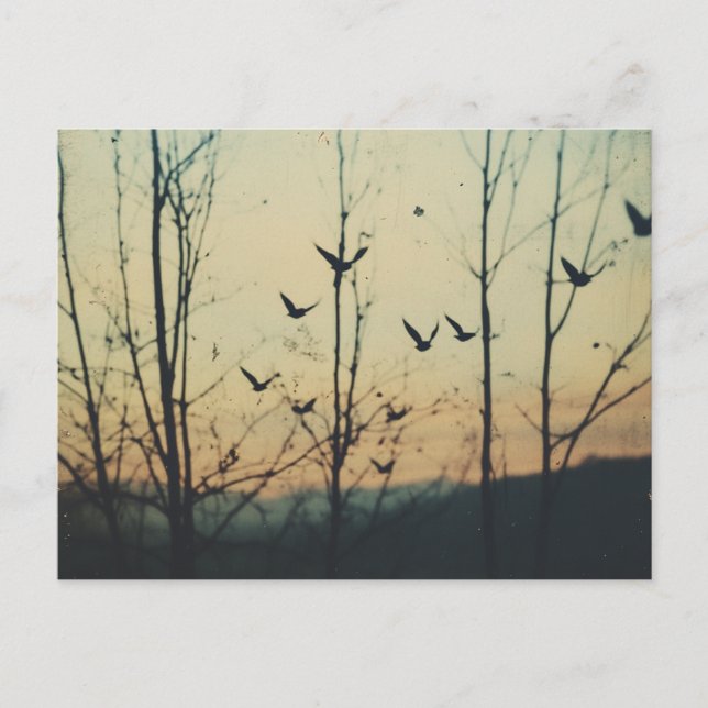 Birds Double Exposure Postcard (Front)