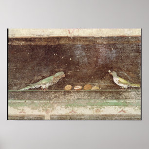 Birds eating nuts poster
