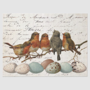 Birds Eggs Vintage European Robin French Decoupage Tissue Paper
