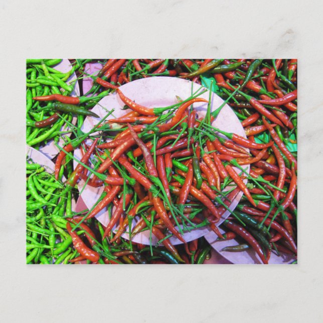 Bird's Eye Chili Peppers Postcard (Front)