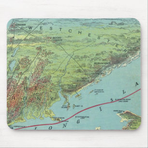 Birds Eye View Map Of New York And Vicinity Mouse Pad
