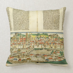 Bird's Eye View of Ratisbon, from the Nuremberg Ch Throw Pillow