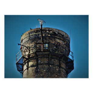 "Bird's Eye View" Photo Print