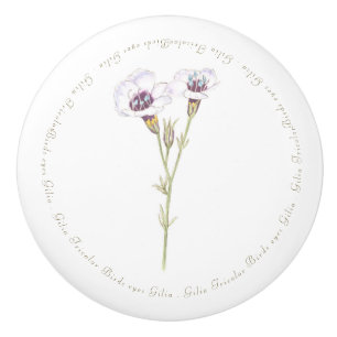 Bird's Eyes Gilia watercolor  Ceramic Knob